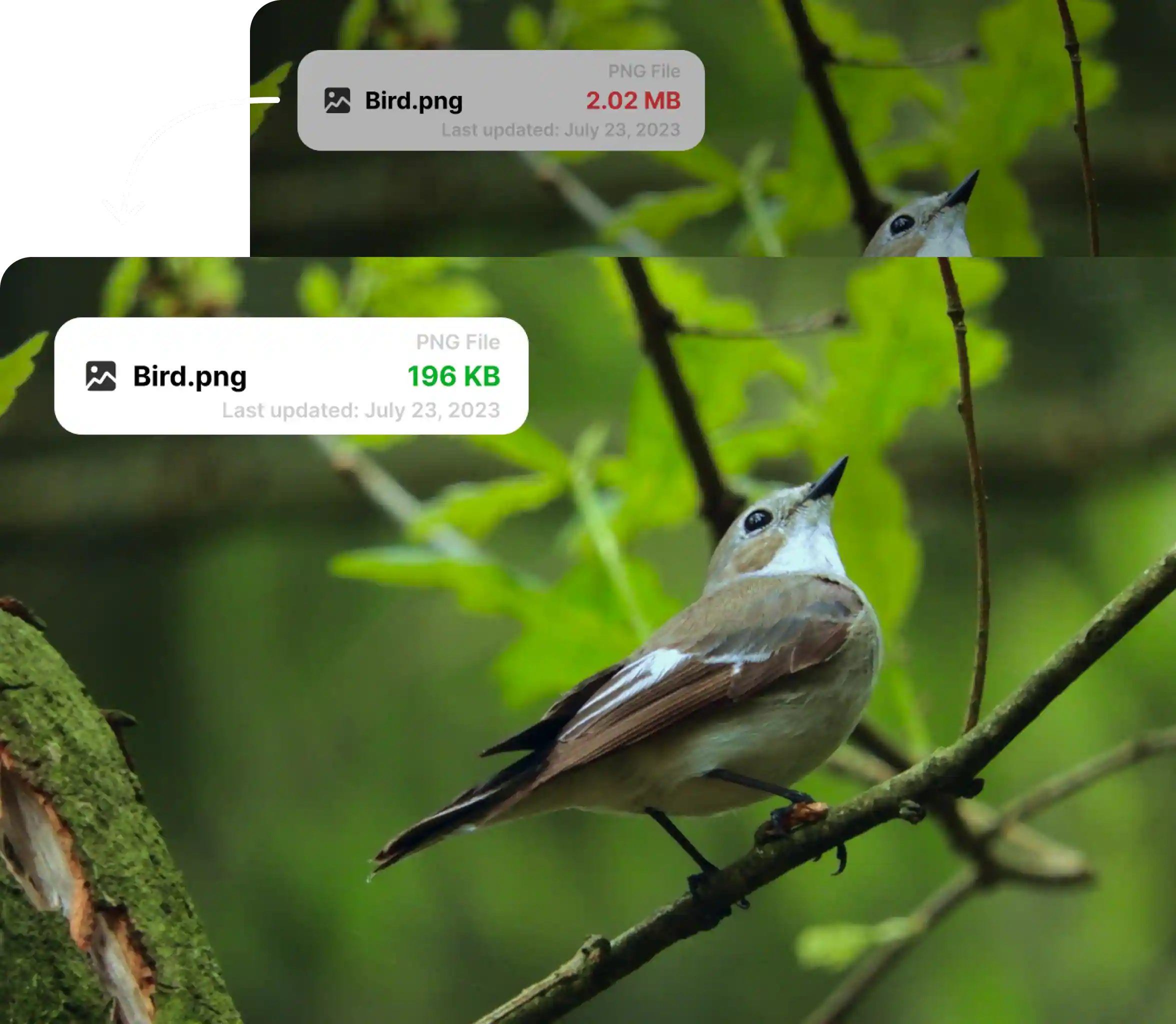 Lossless Image Compression